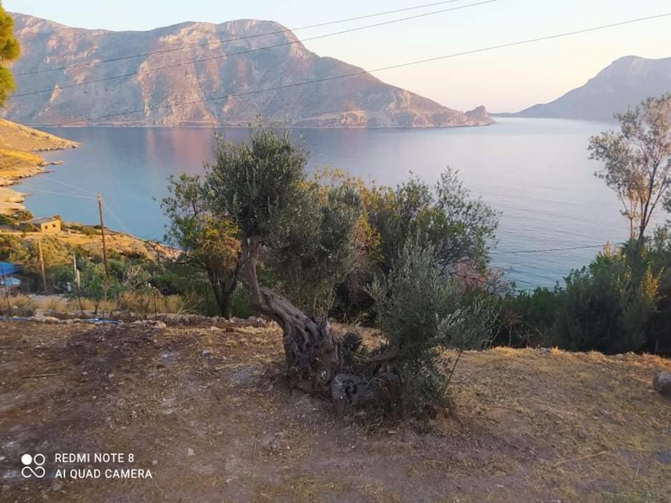 The Traditional House-Skalia,Kalymnos Экстерьер фото
