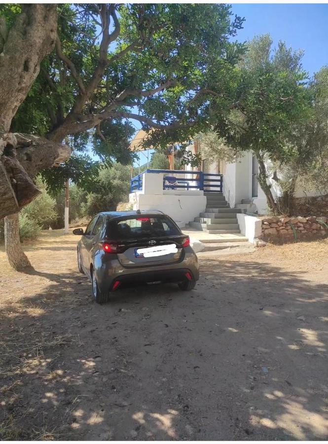 The Traditional House-Skalia,Kalymnos Экстерьер фото